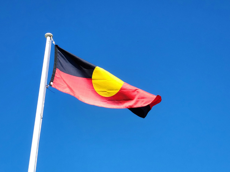 Aboriginal MH careers